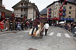 Gara delle Bighe 2011-7844